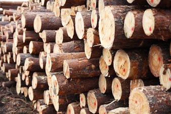 Holz rohmaterialien fabrik