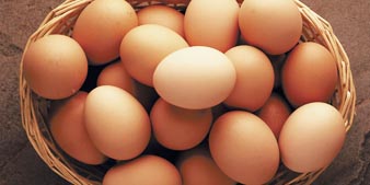eieren en eiproducten Fabrikant