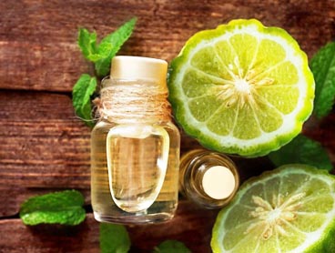 Bergamot extrahuje olej továreň