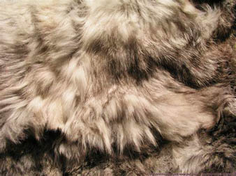 Fur