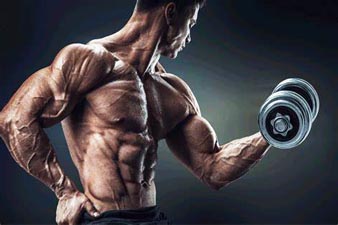 fitness en bodybuilding Fabrikant