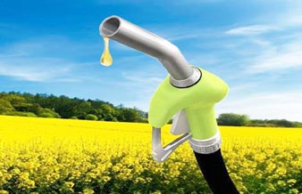 Pengilang Biodiesel