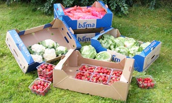 Landwirtschaftliche Verpackung Hersteller